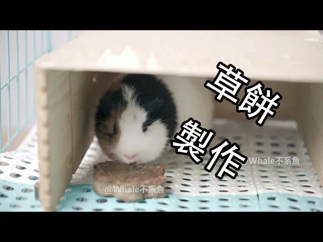 【whale】香香不散架的草餅製作